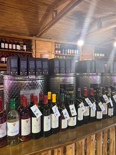 Photo by Lisa Karadag