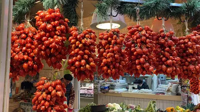 Photo by Janet Harding